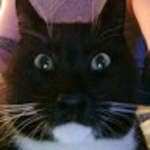 Meet your Posher, Rodney